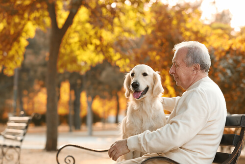 How long can it take for herniated lumbar discs to heal without surgery?